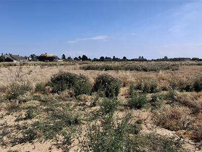 Picture 26